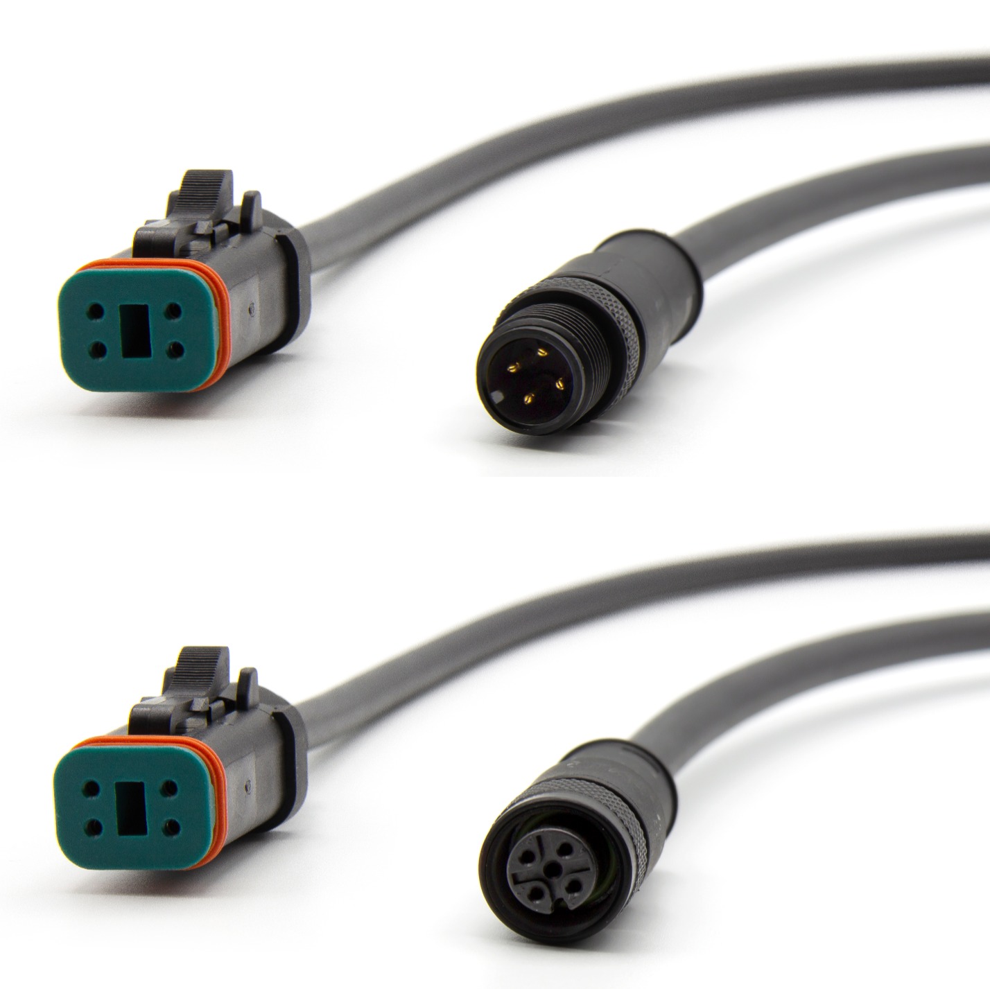 cable assemblies from binder M12-DT series