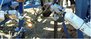 The Intelligent Robot Vineyard Pruner. Photo courtesy of Vision Robotics Corporation