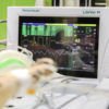 leadwire