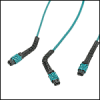 Molex fiber flexibend group