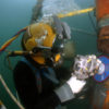 waterproof connectors