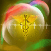 Medical market
